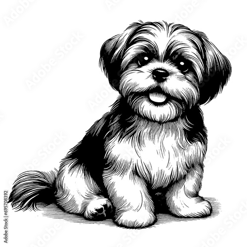 Full-length sitting Shih Tzu portrait. Hand Drawn Pen and Ink. Vector Isolated on White. Engraving vintage style illustration for print, tattoo, t-shirt, coloring book photo