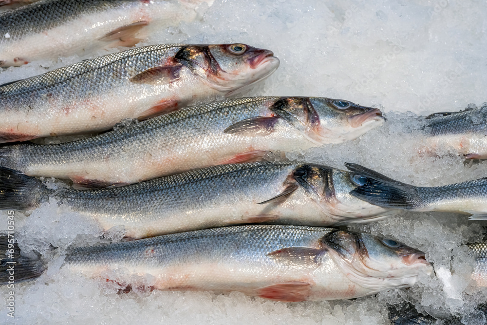 Fresh catch of fish for sale at a market Fresh catch of fish for sale at a market