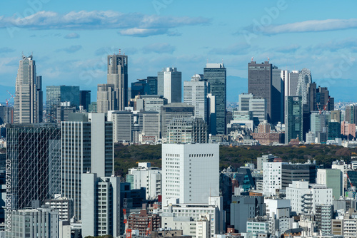 高層ビルから望む東京の風景
