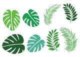 set of green leaves vector illustration