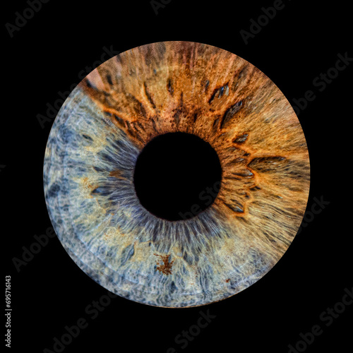 Mixture of blue and brown irises. Human pupil on black background 