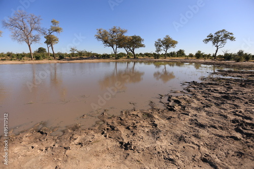 at the edge of a natural waterhole in Botswana with many animal footprints in the mud