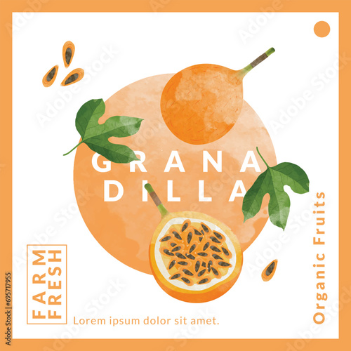 Granadilla or yellow Passion fruit packaging design templates, watercolour style vector illustration.