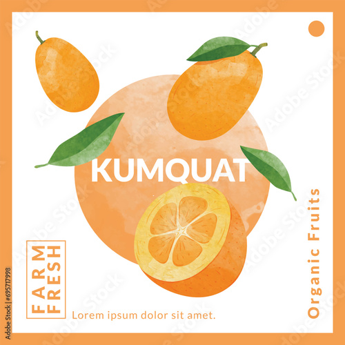 Kumquat fruit packaging design templates, watercolour style vector illustration.