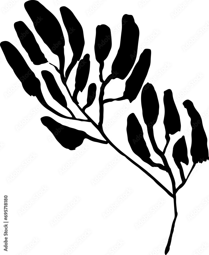 Obraz premium Leaf Grunge Artwork Brush Silhouette Element
