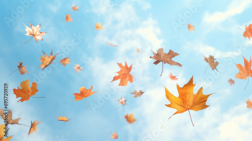 Autumn leaves on blue sky background with copy space for your text