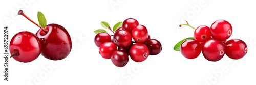 Cranberry Fruit Delight: Full-bodied Vibrant Images on Transparent Background