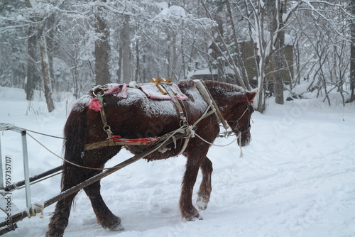 A horse pulling a winter sleigh with falling snow