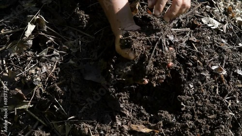 Top view of farmer's hands holding compost soil with black soil background. ecology environment. The soil is rich in minerals, suitable for cultivation in the hands of farmers. photo