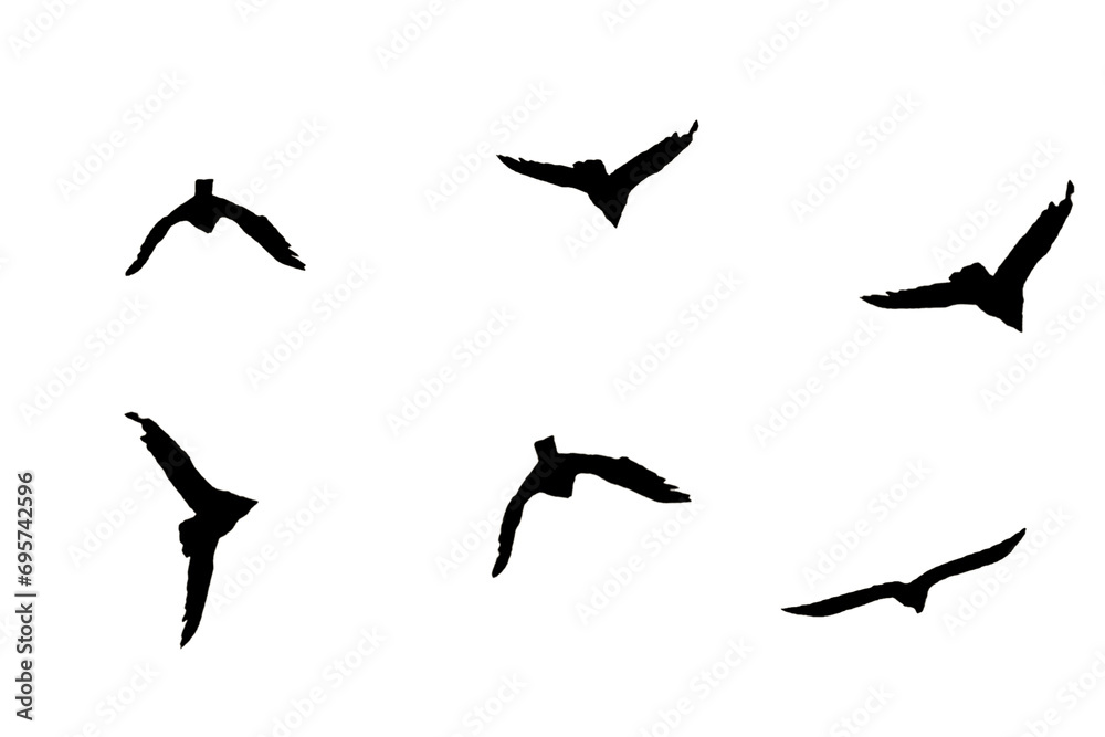 Bird silhouettes of a group of birds flying, white background
