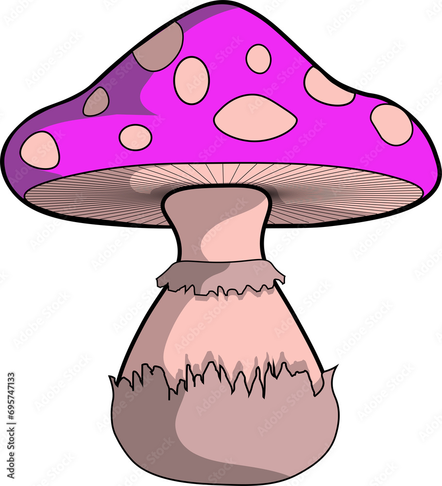 Cute Cartoon Colored Mushroom Illustration Cute Cartoon Colored Mushroom Illustration