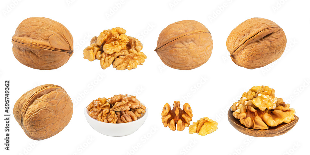 delicious walnuts - isolated on transparent background delicious walnuts - isolated on transparent background