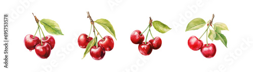 Watercolor cherry drawing set. Vector illustration design.