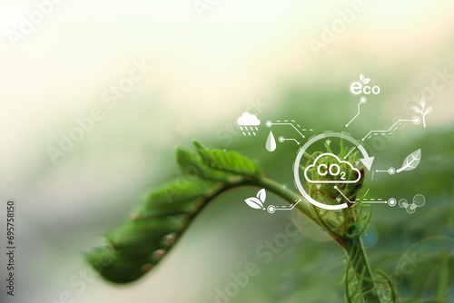 Carbon dioxide emissions, carbon footprint concept, Reduce CO2 emission concept. Renewable energy-based green businesses can limit climate change and global warming.