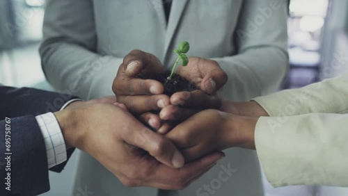 Plants in the hands of business people for support, environment, collaborating, growing, and investing in people and the soil for the future. Businessman's hands holding a small plant with soil.