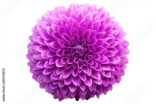 A close-up view of a vibrant purple flower against a clean white background. This image can be used for various purposes, such as floral design, nature-themed projects, or as a decorative element
