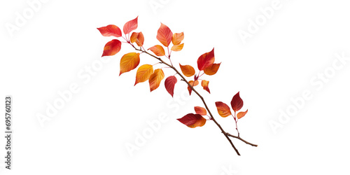 single branch with autumn leaves Artificial Intelligence Generative