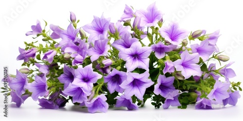 A beautiful bunch of purple flowers displayed on a clean white surface. This image can be used for various purposes