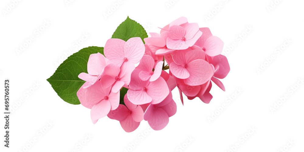 pink hydrangea flowers Artificial Intelligence Generative pink hydrangea flowers Artificial Intelligence Generative