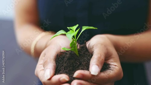 Close up of plant seedling in gardener hands. Hands holding new growth plant in sunset. Human holding sapling with soil in cupped hands. Two hands holding seedling to be planted. photo