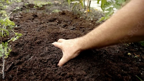 Man holding fertilizer soil that is suitable for growing plants and accelerates plant growth. Male hands full of fertile soil. Handful of dirt holding dark soil from organic field. photo