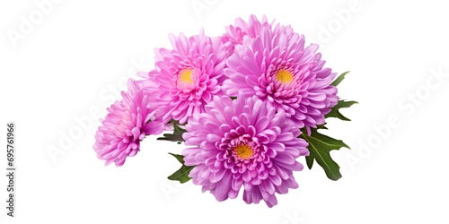 Aster Flower Artificial Intelligence Generative