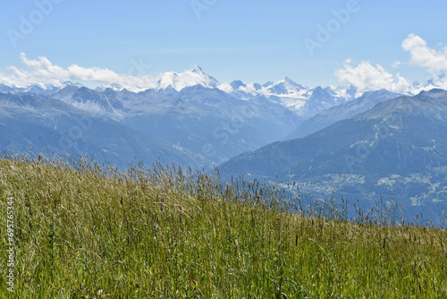 Wild Grass and Long Alpine View in Switzerland near Crans-Montana