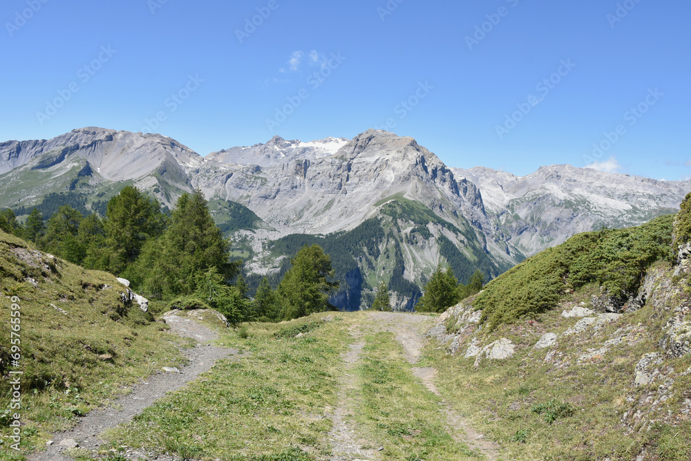Footpath and Bike Trail in Swiss Alps near Crans-Montana
