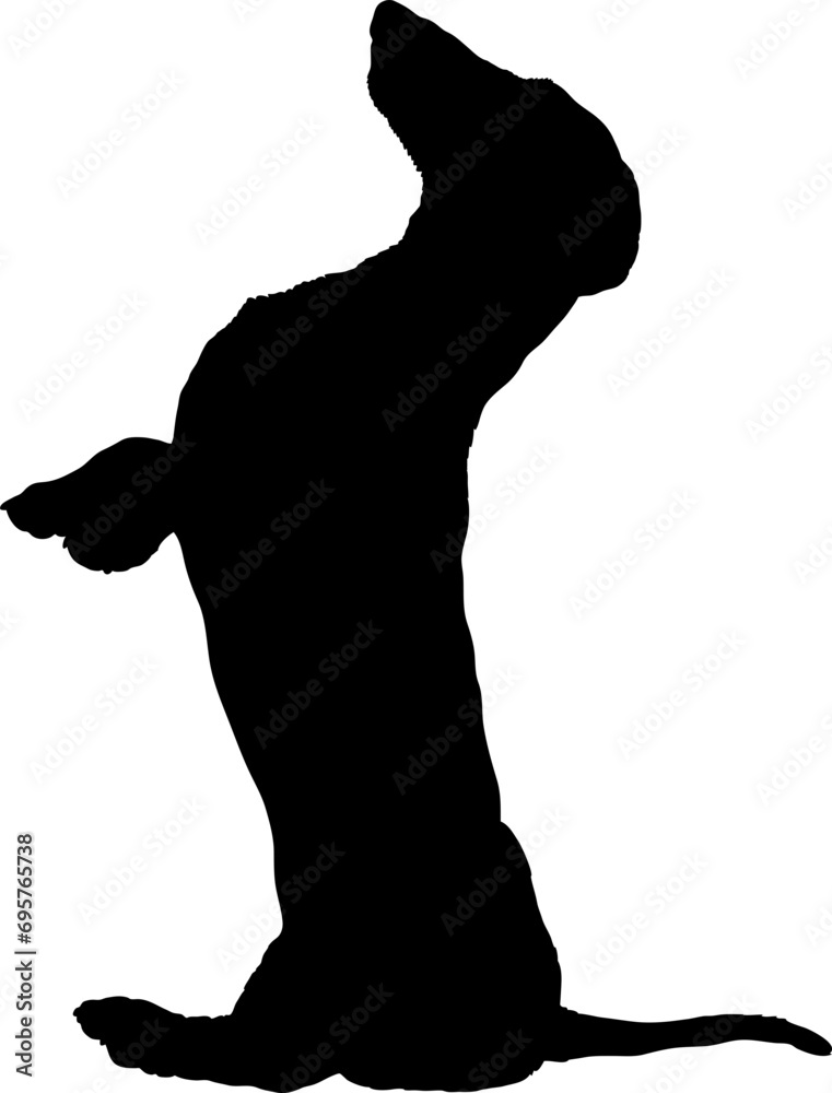 Dachshund sitting Dog silhouette Breeds Bundle Dogs on the move. Dogs