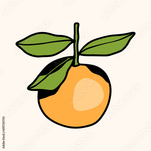 Orange fruits illustrations textured