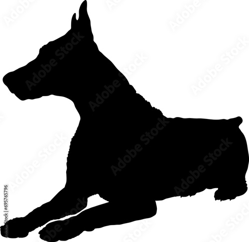 Doberman lies. High quality Dog silhouette Breeds Bundle Dogs on the move. Dogs in different poses.
The dog jumps, the dog runs. The dog is sitting. The dog is lying down. The dog is playing