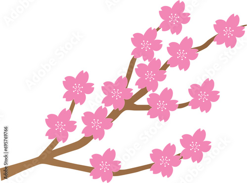 満開の桜
