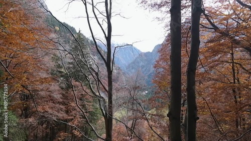 Forest of Bagni di Masino, path to the Omio refuge in the Oro Valley, Val Masino.
