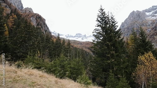 Mountain panorama with pine trees and snow-capped peaks, Pizzo Ligoncio seen from the Onio refuge in the Oro Valley, Val Masino.