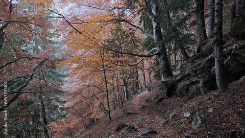 Mountain panorama with pine trees and snow-capped peaks, Pizzo Ligoncio seen from the Onio refuge in the Oro Valley, Val Masino.