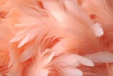 Trendy background with peach fluff and feathers. Generative AI
