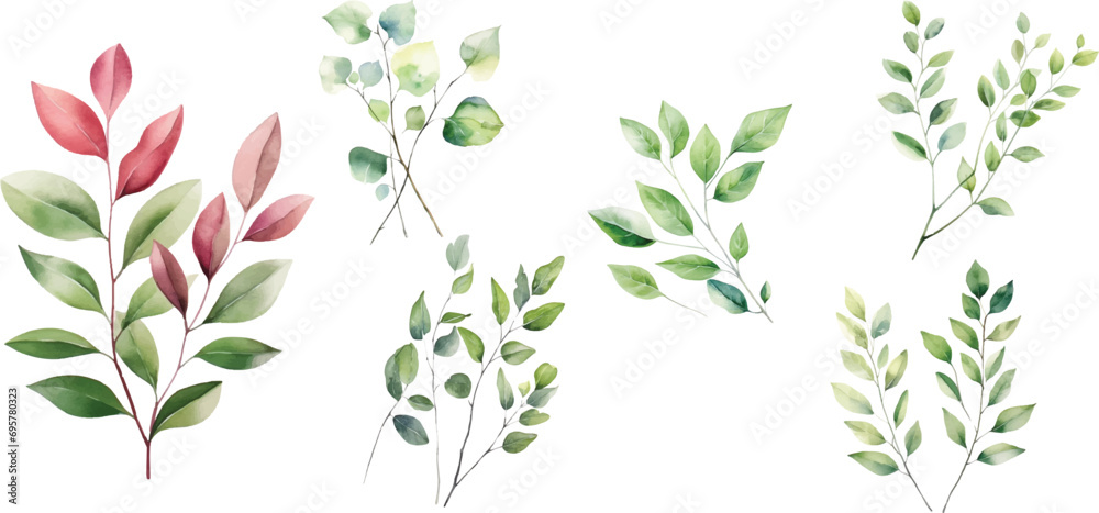 Watercolor leaf stems on a white background - obrazy, fototapety, plakaty 