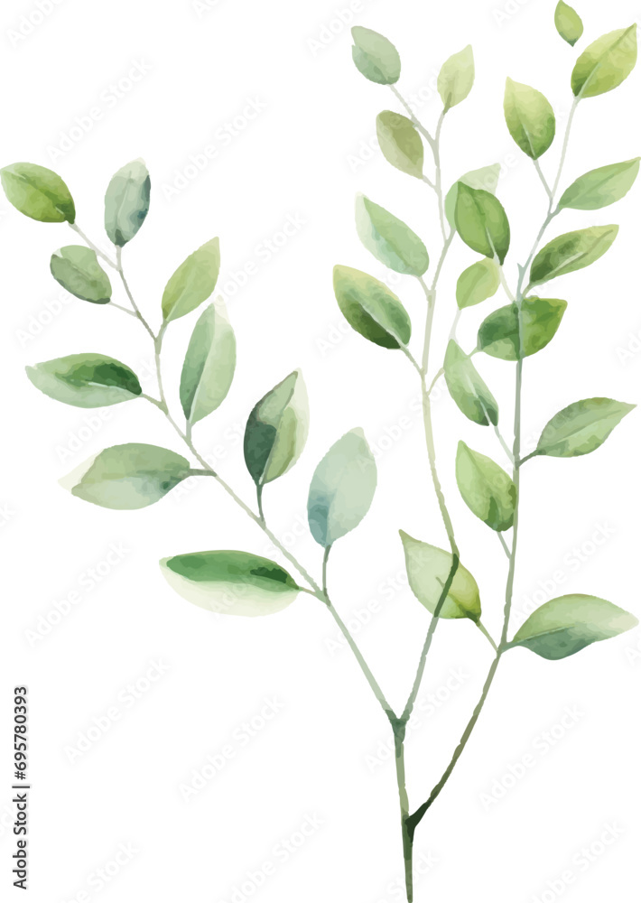 Watercolor leaf stems on a white background - obrazy, fototapety, plakaty 