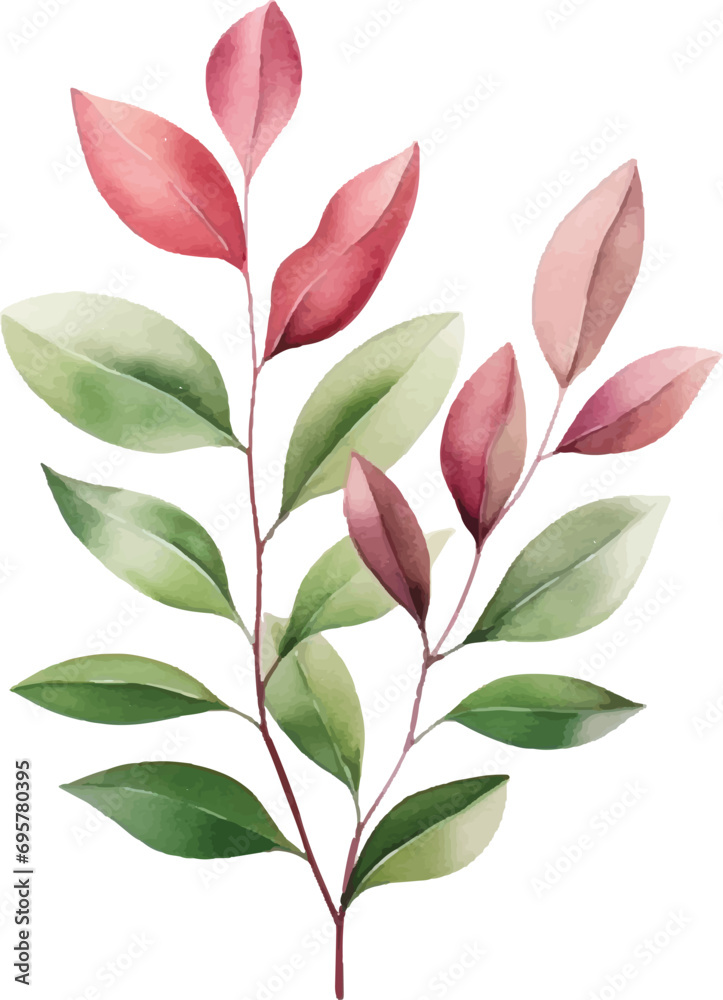 Watercolor leaf stems on a white background Watercolor leaf stems on a white background