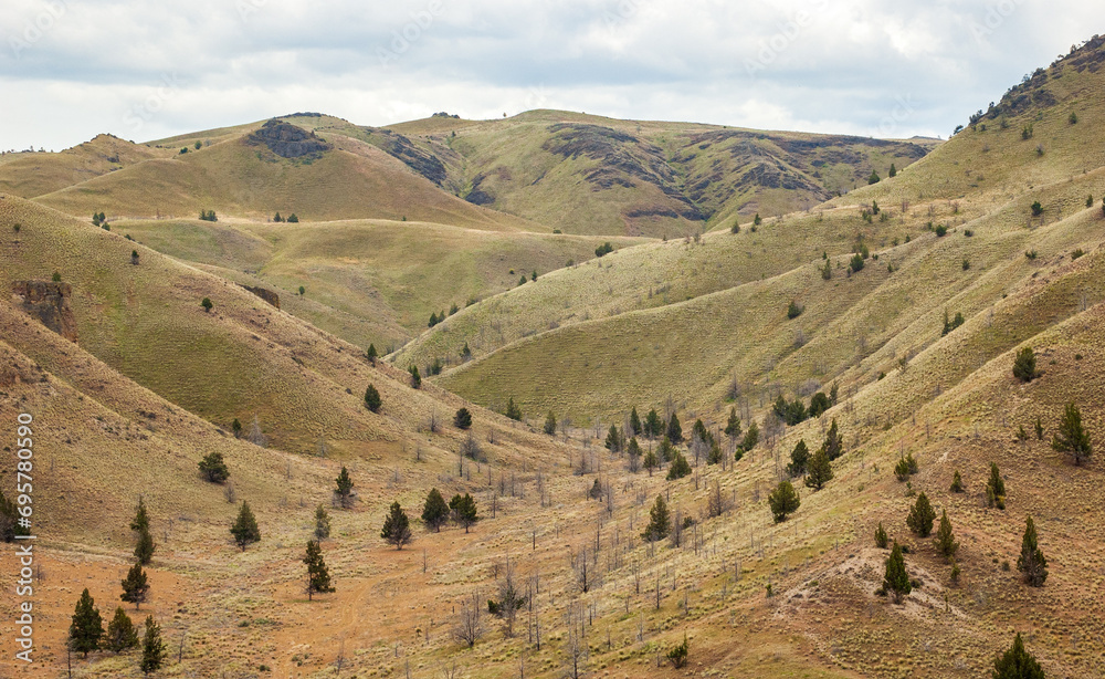 The Clarno Palisades Unit of John Day Fossil Beds National Monument