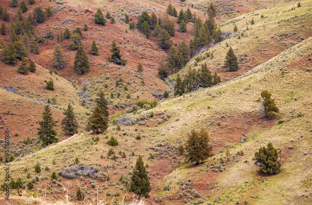 The Rugged Landscape of John Day Fossil Beds National Monument