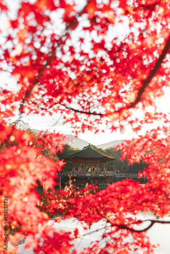 奈良公園の紅葉