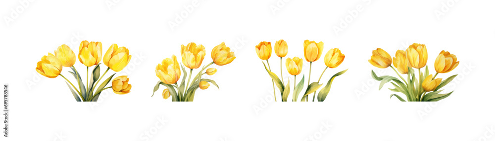 Watercolor yellow tulip set. Vector illustration design. - obrazy, fototapety, plakaty 
