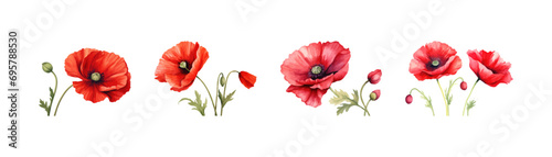 Watercolor red poppy set. Vector illustration design. photo