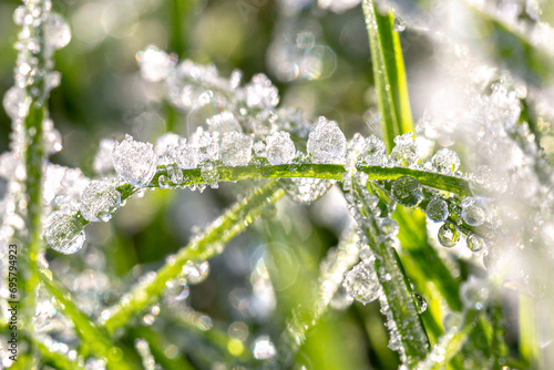 A macro photograph of ice crystals on blades of grass, with a shallow depth of field