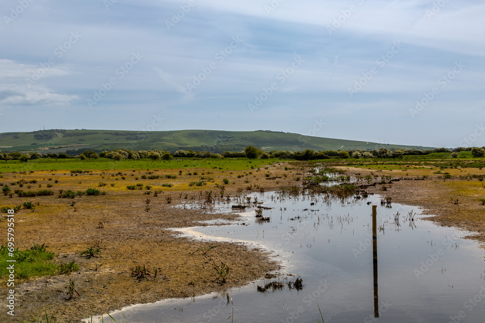 A rural Sussex landscape with a water logged field