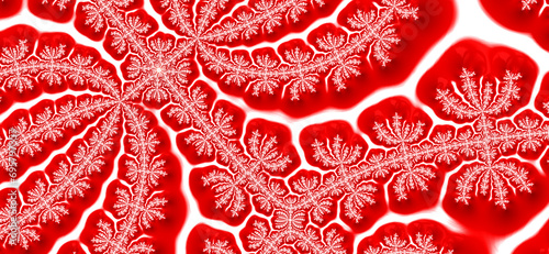 Fractal ice background. Abstract decorative frost banner. Christmas, red and white. Crystalline growth. 