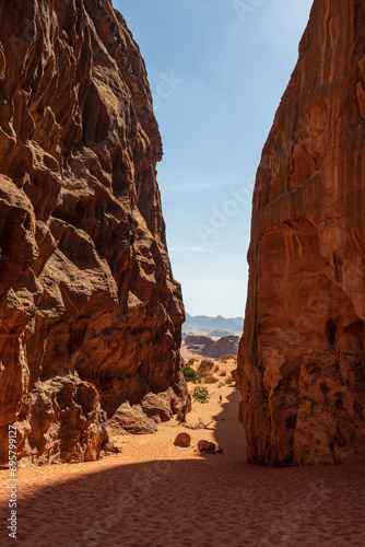 canyon nel deserto Wadi Rum  Giordania