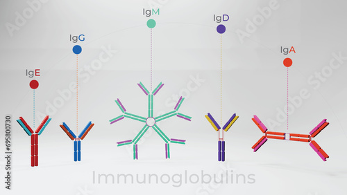 3D illustration of all five antibody molecules or immunoglobulins presented in a 3D model 