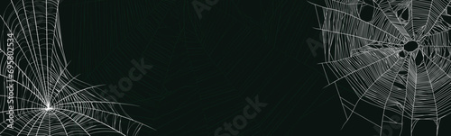  spider web background design. Vector background design with set of spider web 